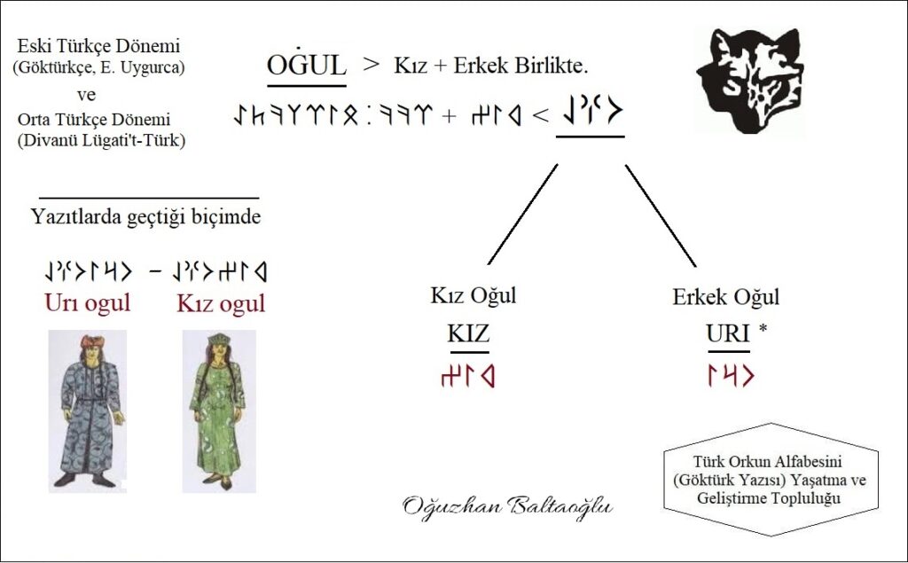 Urı ne demek? Oğul sözcüğü bugünkü Türkçede anlam daralması yaşayarak sadece erkek çocuk anlamına geliyorken aslında Eski Türkçe döneminde (Göktürkçe/ Eski Uygurca) hem kız hem erkek çocuğu kapsayan bir anlama sahipti. Yani bugün kullandığımız "evlat" sözcüğünün tam karşılığı oluyordu. Bugün erkek çocuğa oğul diyorken geçmiş dönemlerde "urı" dediğimizi görüyoruz. Kız çocuğa yine "kız", erkek çocuğa (evlada) ise "urı" deniyordu. 